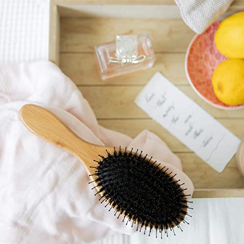 Belula Boar Bristle Hair Brush - Hair Brushes for Women & Mens Hair Brush, Detangler Brush, Hairbrush, Detangling Brush for Long, Curly or Any Type of Hair.