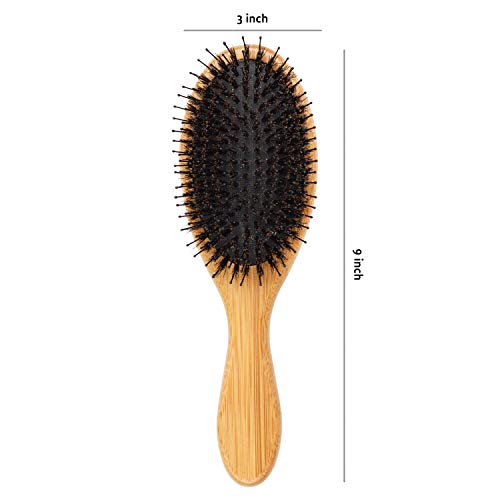 Belula Boar Bristle Hair Brush - Hair Brushes for Women & Mens Hair Brush, Detangler Brush, Hairbrush, Detangling Brush for Long, Curly or Any Type of Hair.