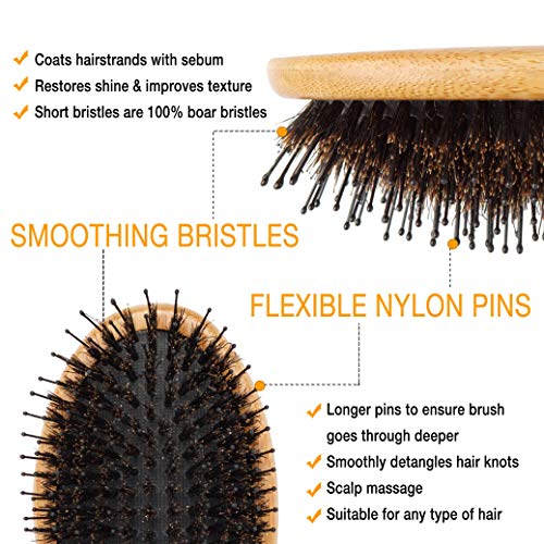 Belula Boar Bristle Hair Brush - Hair Brushes for Women & Mens Hair Brush, Detangler Brush, Hairbrush, Detangling Brush for Long, Curly or Any Type of Hair.