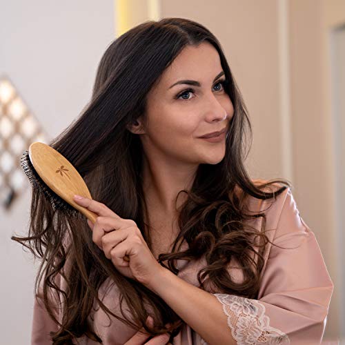 Belula Boar Bristle Hair Brush - Hair Brushes for Women & Mens Hair Brush, Detangler Brush, Hairbrush, Detangling Brush for Long, Curly or Any Type of Hair.